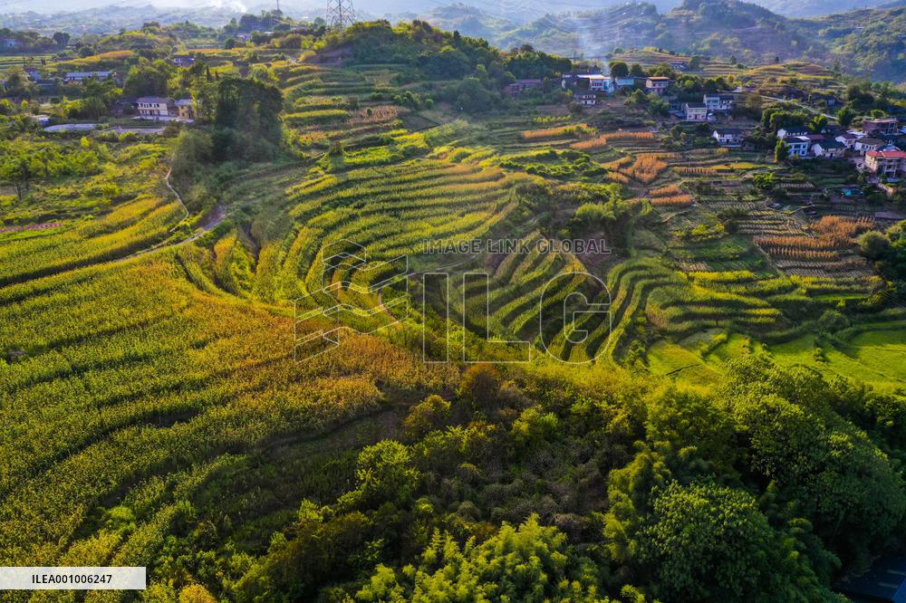 CHINA-CHONGQING-BEIBEI-SCENERY (CN)