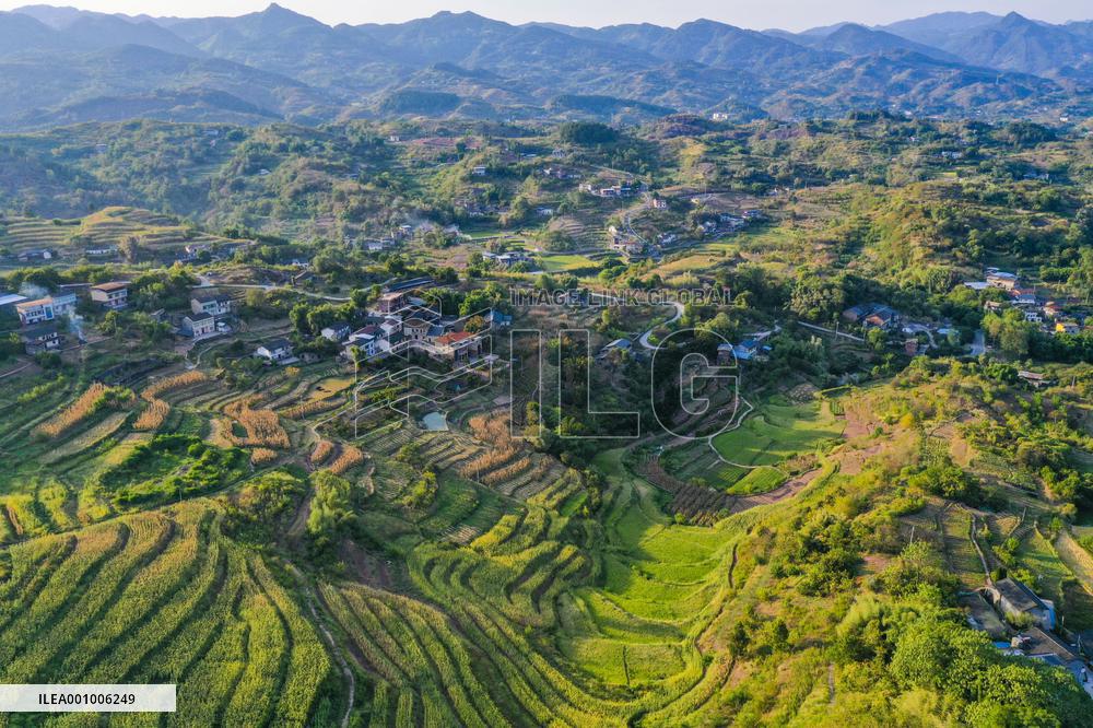 CHINA-CHONGQING-BEIBEI-SCENERY (CN)