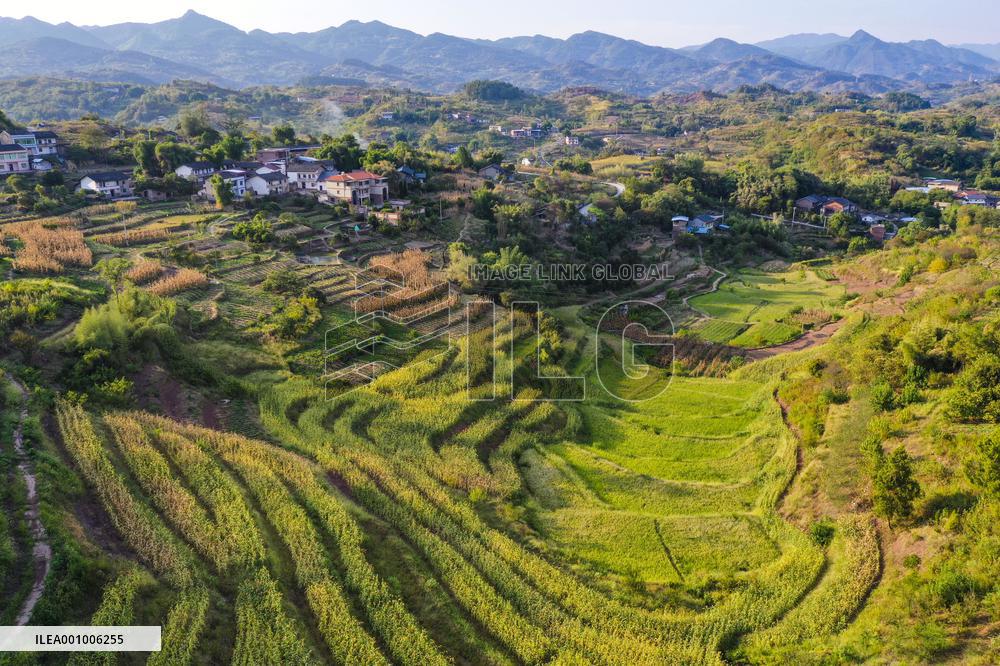 CHINA-CHONGQING-BEIBEI-SCENERY (CN)