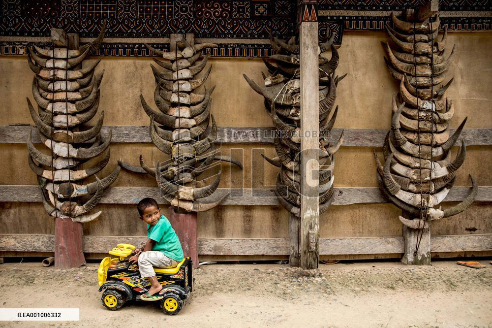 INDONESIA-TANAH TORAJA-DAILY LIFE