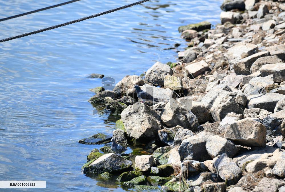 GERMANY-RIVER RHINE-WATER LEVEL