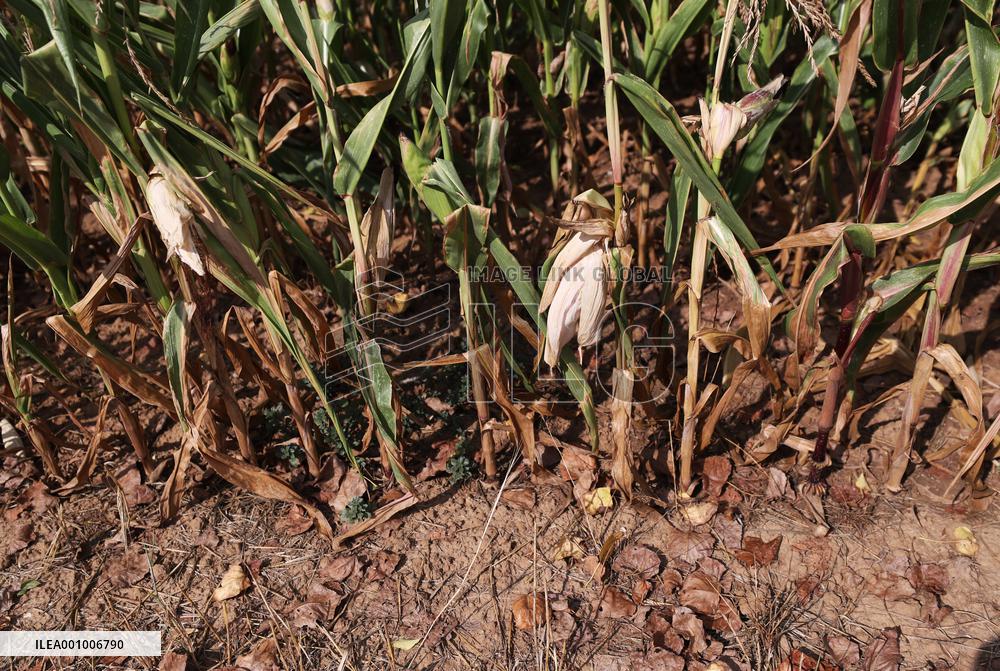 FRANCE-PARIS REGION-DROUGHT