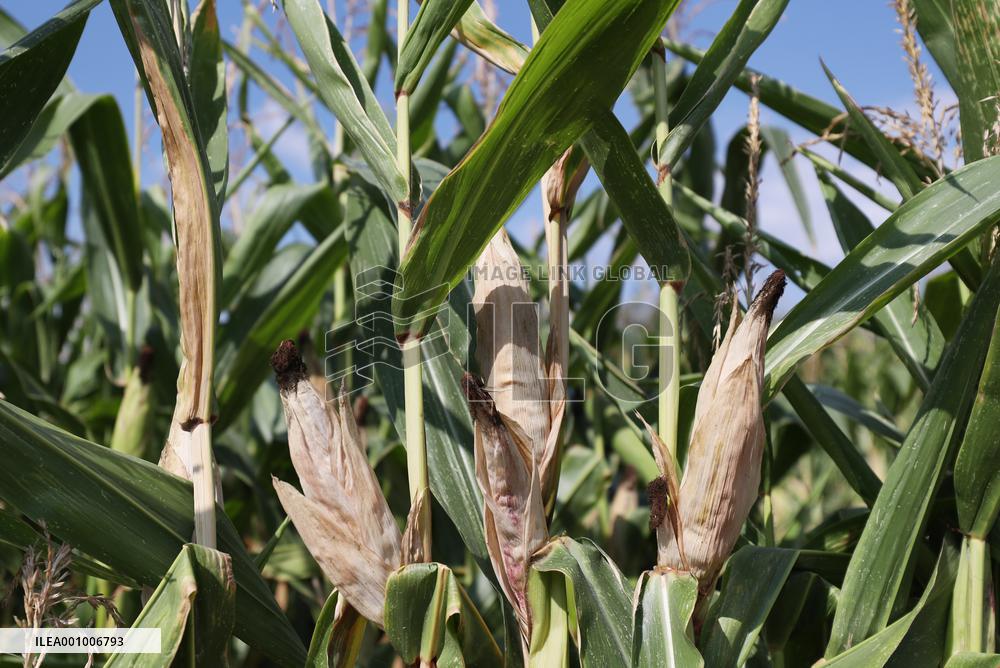 FRANCE-PARIS REGION-DROUGHT