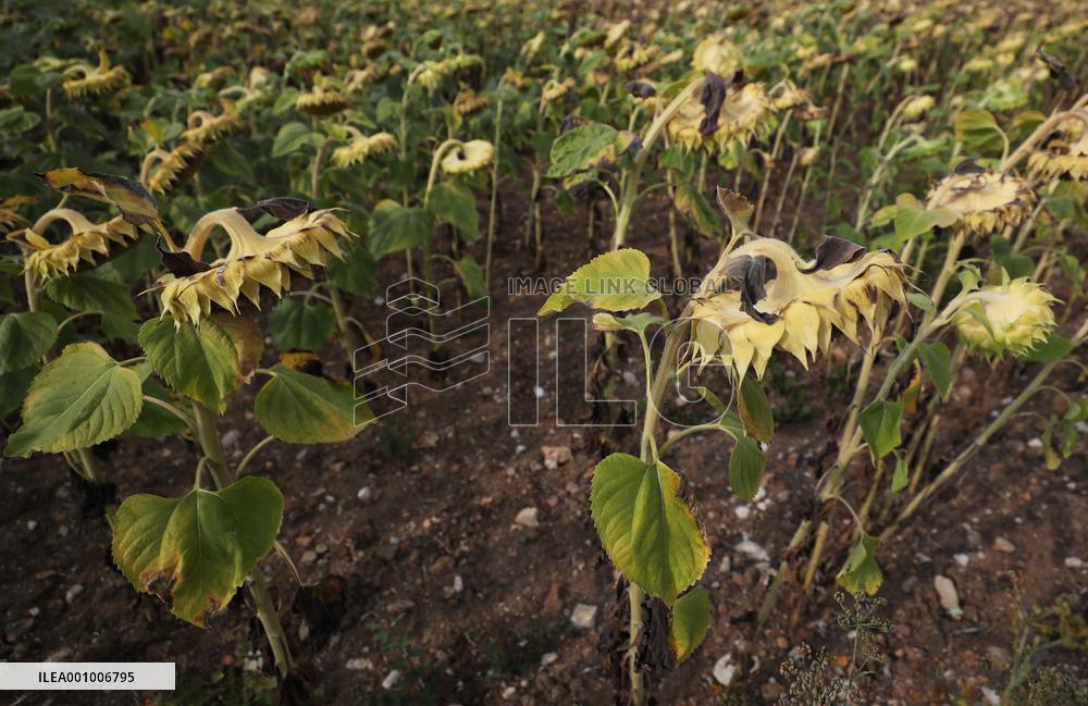 FRANCE-PARIS REGION-DROUGHT