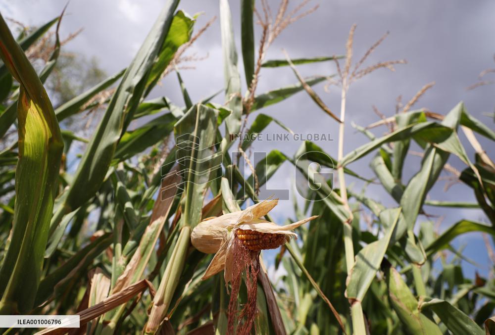 FRANCE-PARIS REGION-DROUGHT