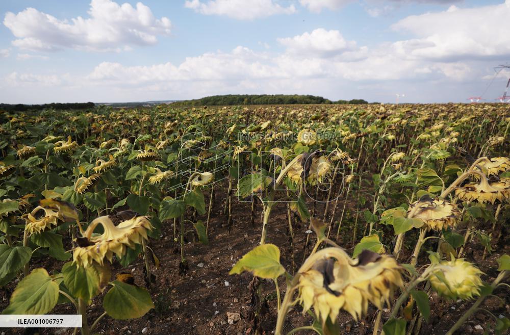 FRANCE-PARIS REGION-DROUGHT