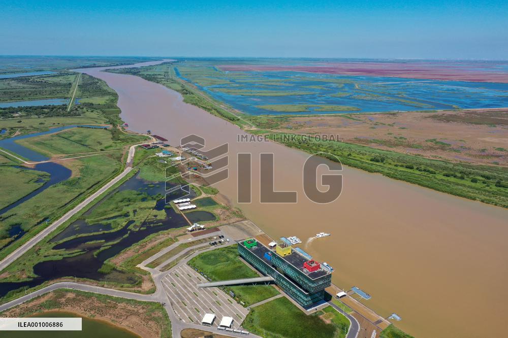 CHINA-SHANDONG-YELLOW RIVER DELTA-NATURE RESERVE (CN)