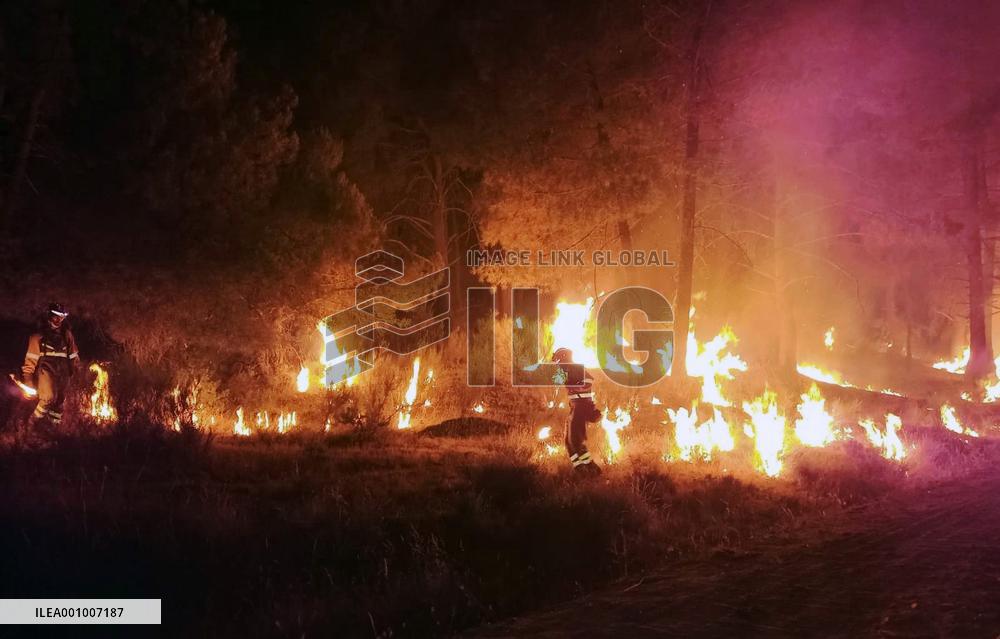 Xinhua Headlines: Heatwaves, severe droughts cause Europe searing pain
