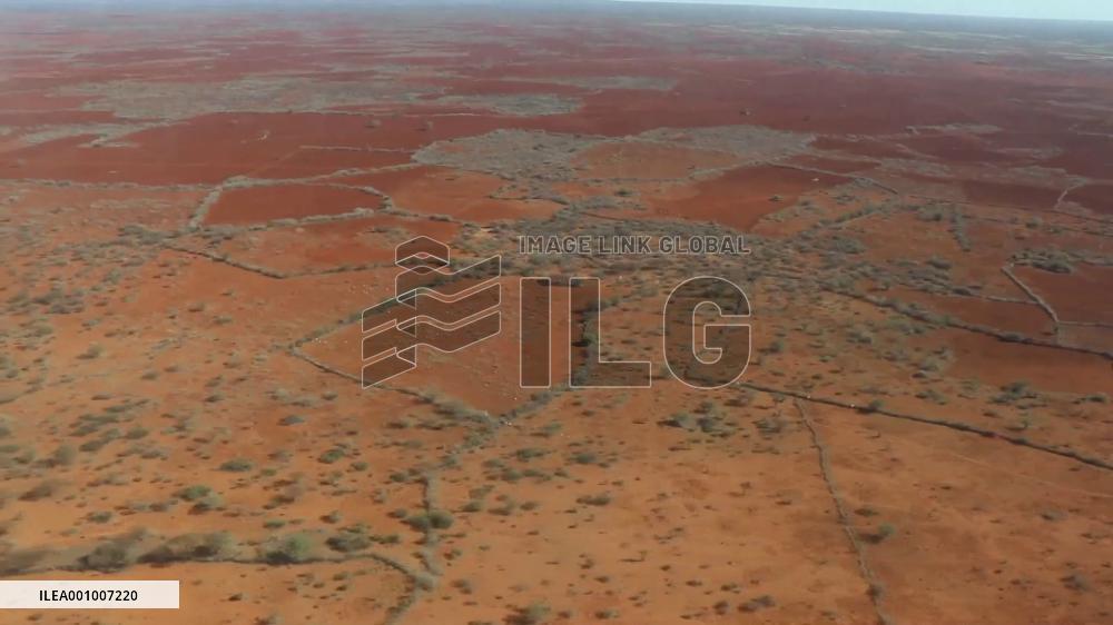 WFP seeks 418 mln USD to ramp up aid in Horn of Africa amid famine threats