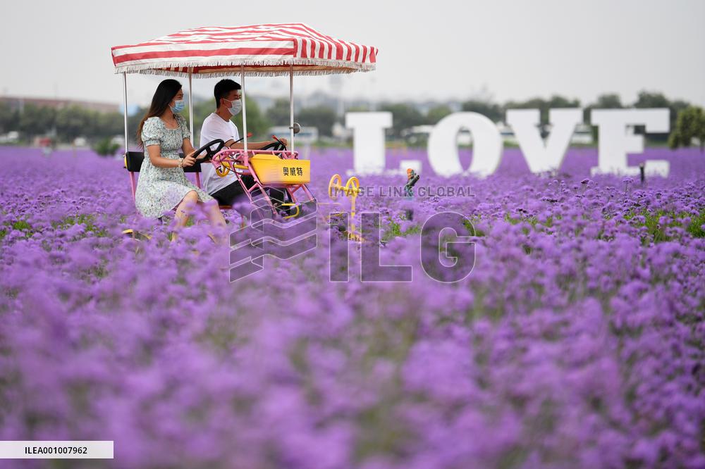 CHINA-GANSU-LANZHOU NEW AREA-DEVELOPMENT (CN)