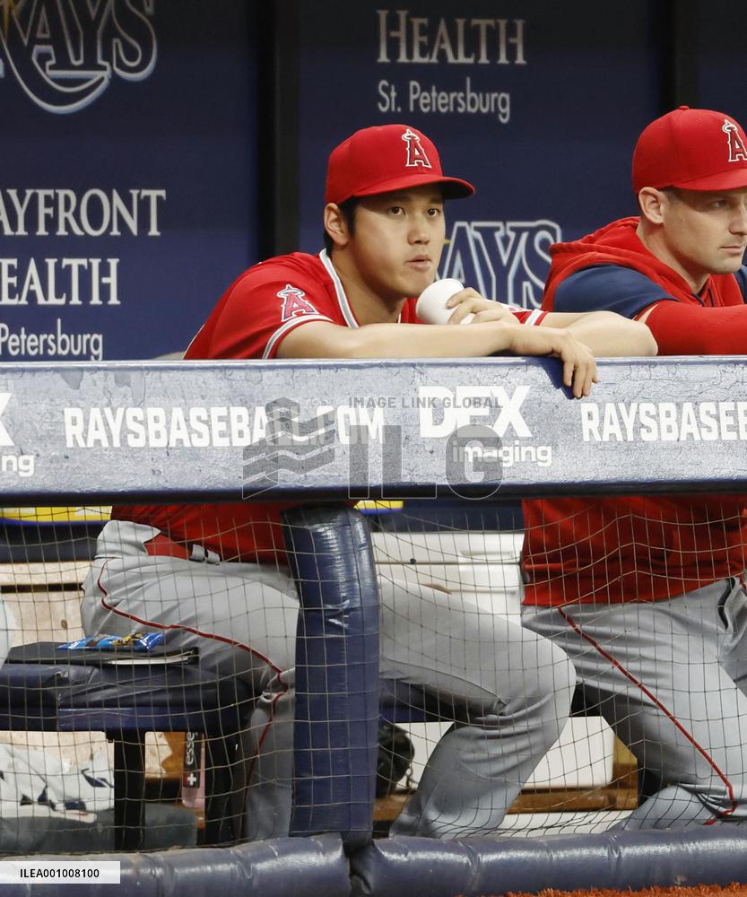Baseball: Angels vs. Rays