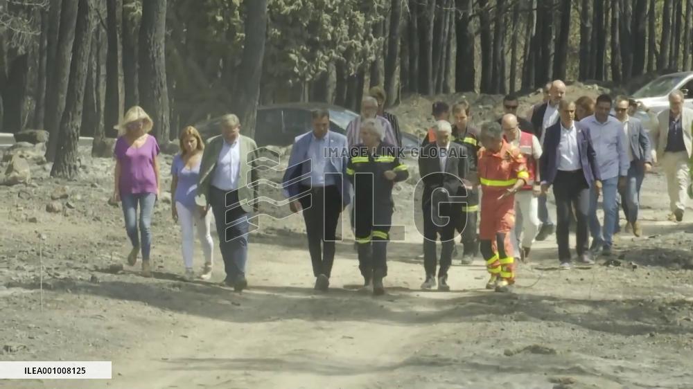Spain to declare areas affected by wildfires as "catastrophe zones"