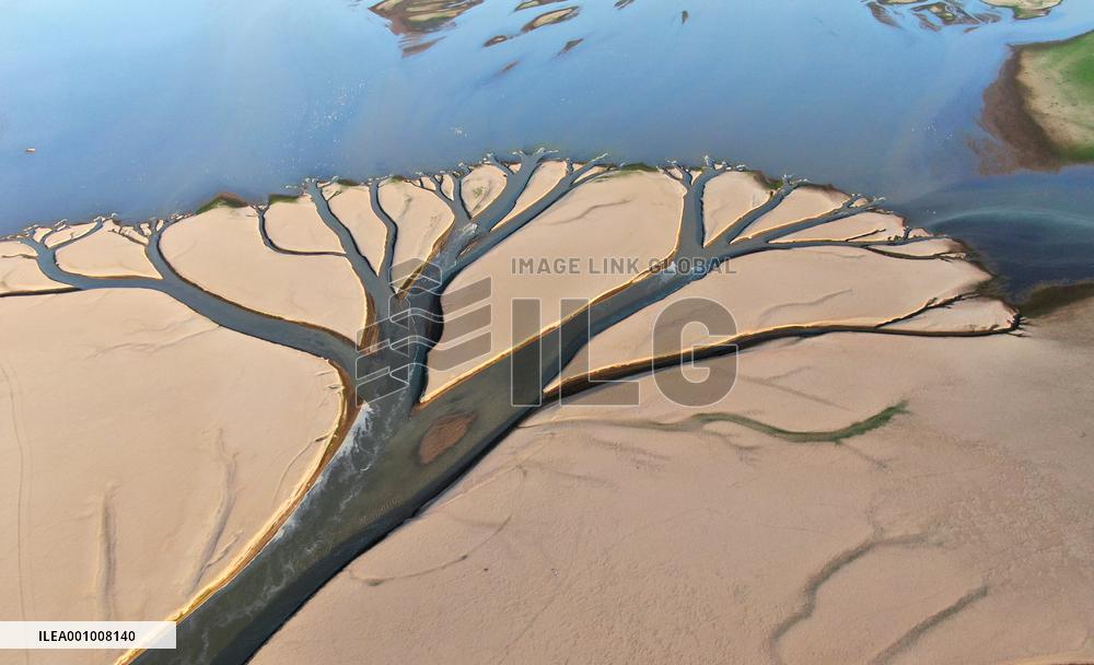 CHINA-JIANGXI-POYANG LAKE (CN)