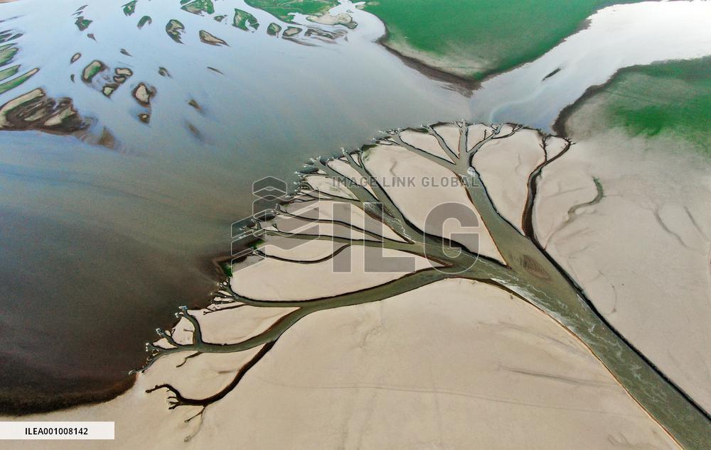 CHINA-JIANGXI-POYANG LAKE (CN)