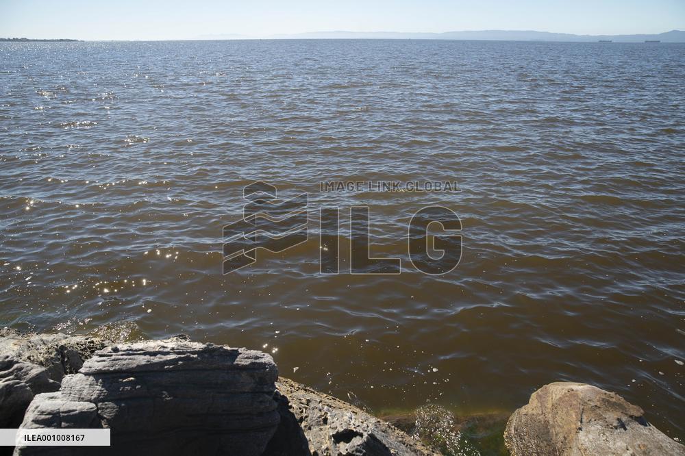 U.S.-SAN FRANCISCO-RED TIDE