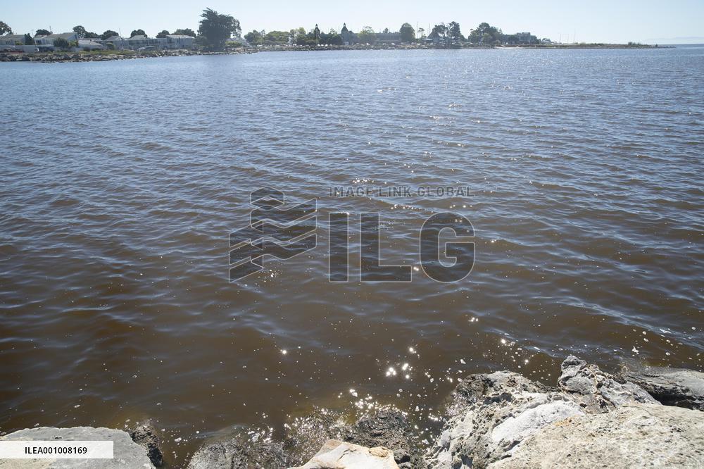 U.S.-SAN FRANCISCO-RED TIDE