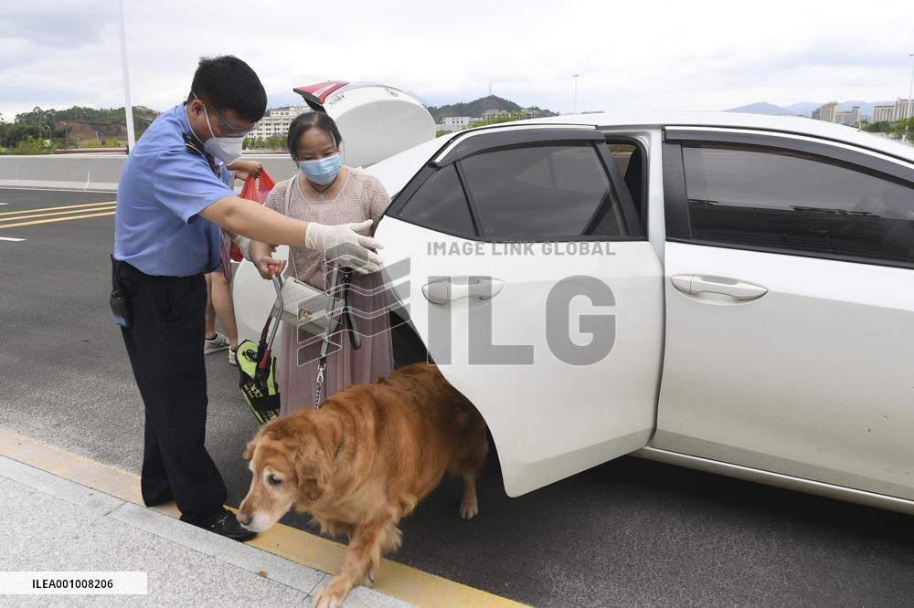 CHINA-GUANGDONG-GUIDE DOG-TRIP (CN)