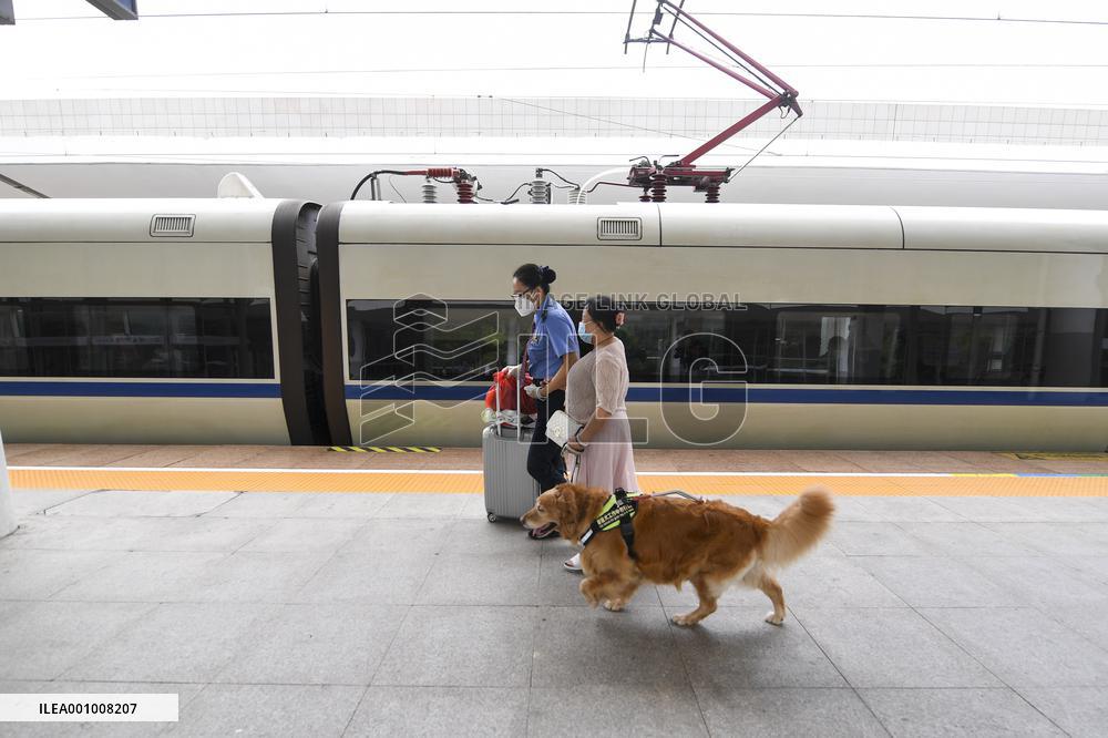 CHINA-GUANGDONG-GUIDE DOG-TRIP (CN)