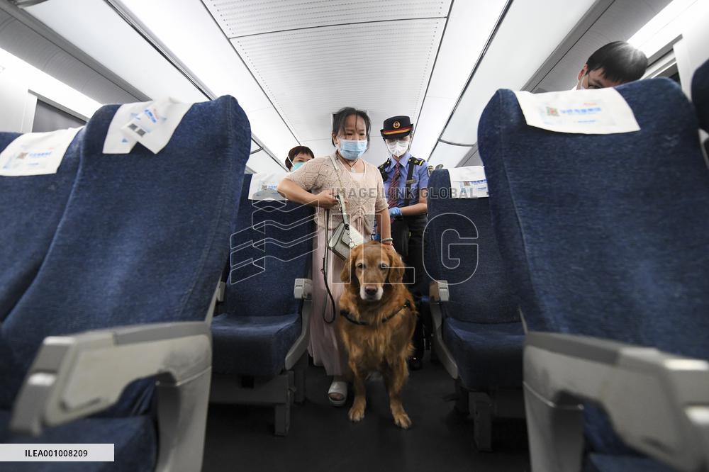 CHINA-GUANGDONG-GUIDE DOG-TRIP (CN)