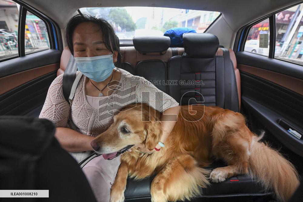 CHINA-GUANGDONG-GUIDE DOG-TRIP (CN)