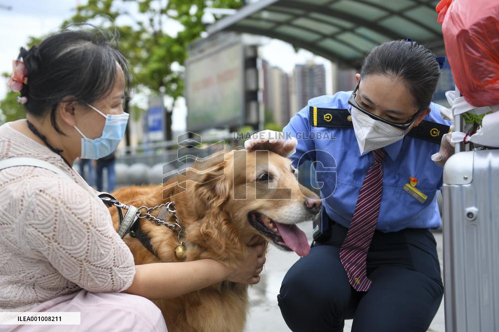 CHINA-GUANGDONG-GUIDE DOG-TRIP (CN)