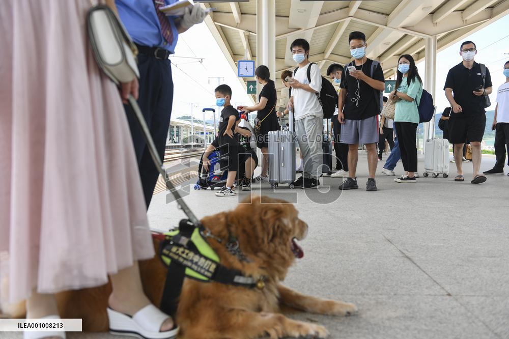 CHINA-GUANGDONG-GUIDE DOG-TRIP (CN)