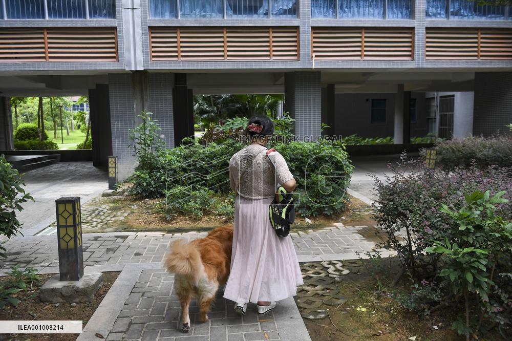 CHINA-GUANGDONG-GUIDE DOG-TRIP (CN)