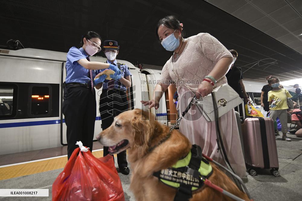 CHINA-GUANGDONG-GUIDE DOG-TRIP (CN)