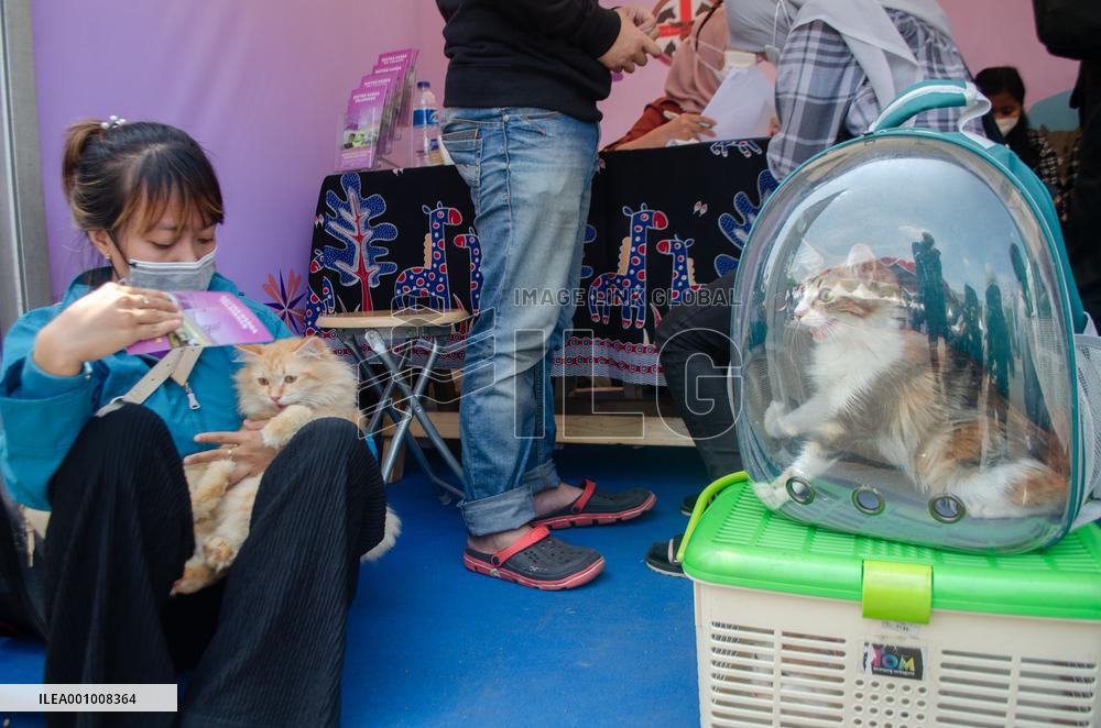 INDONESIA-BANDUNG-FREE RABIES VACCINATION