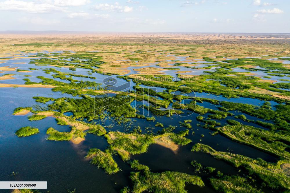 Xinhua Headlines: Rehabilitated prairies fortify green barrier in north China