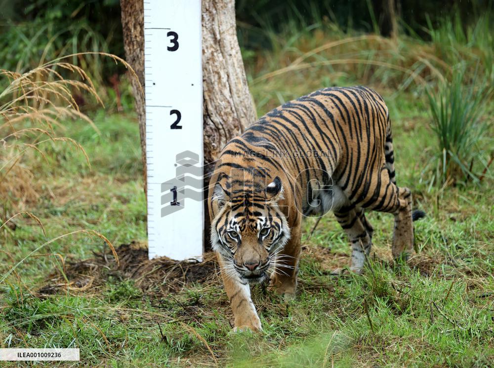 BRITAIN-LONDON-ZSL LONDON ZOO-ANNUAL WEIGH-IN