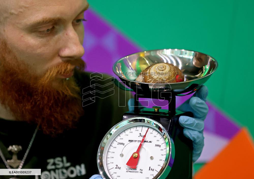 BRITAIN-LONDON-ZSL LONDON ZOO-ANNUAL WEIGH-IN