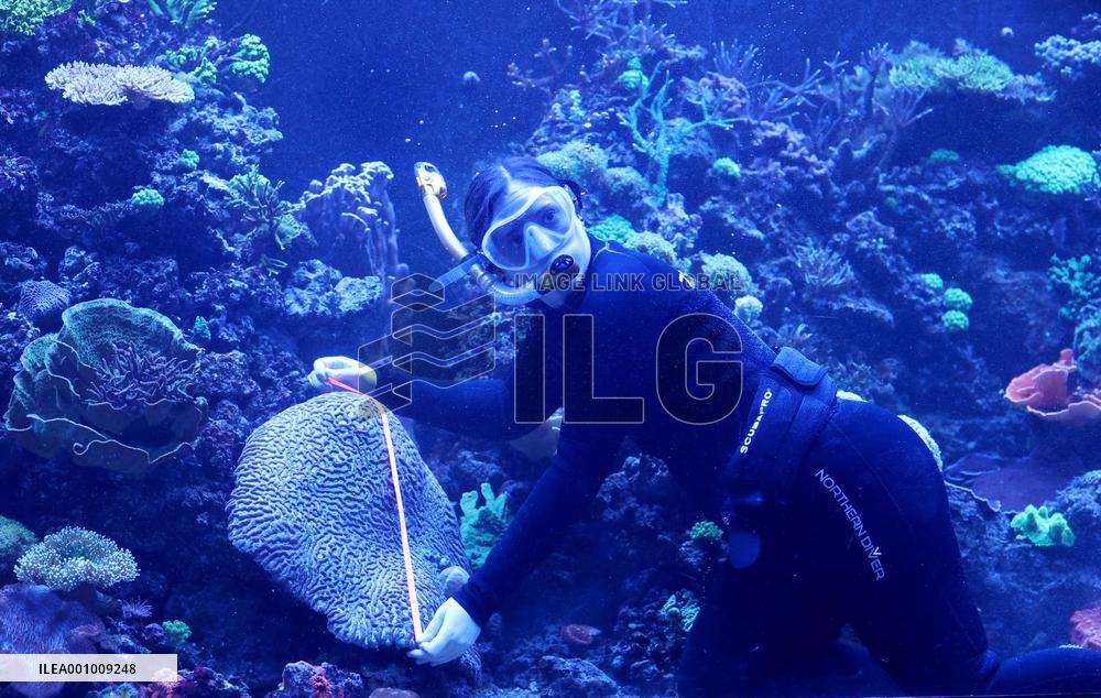 BRITAIN-LONDON-ZSL LONDON ZOO-ANNUAL WEIGH-IN