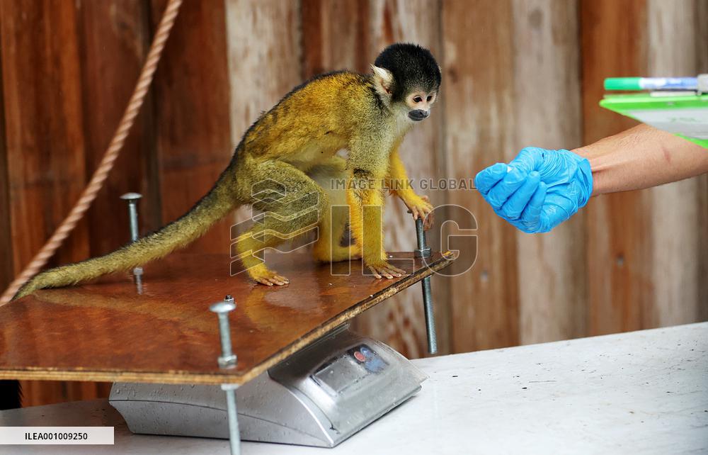 BRITAIN-LONDON-ZSL LONDON ZOO-ANNUAL WEIGH-IN