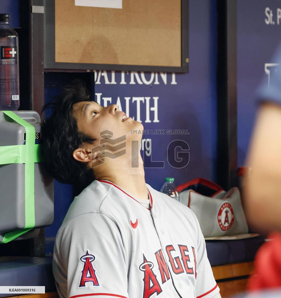 Baseball: Angels vs. Rays