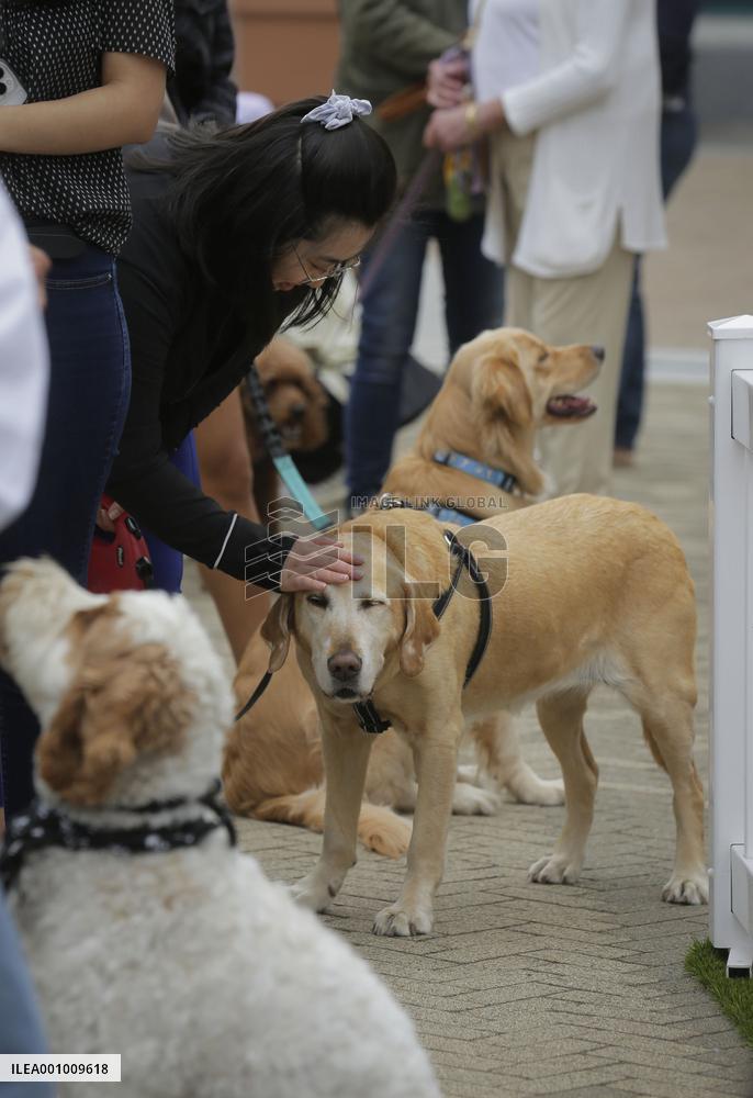CANADA-VANCOUVER-INTERNATIONAL DOG DAY