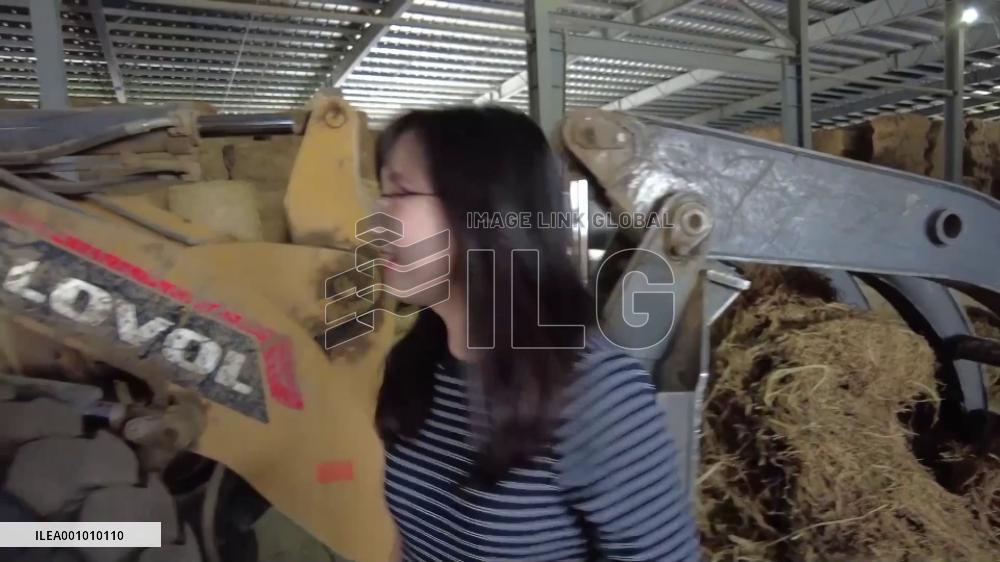 Straw recycling facilitates green agriculture in E China