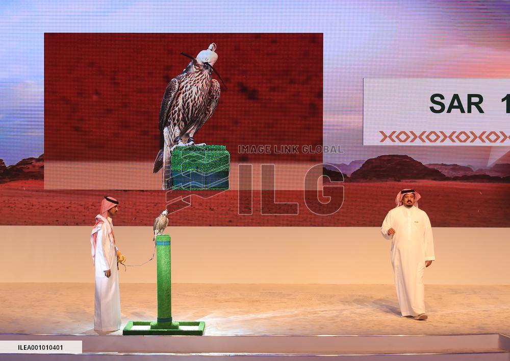 SAUDI ARABIA-RIYADH-FALCONS AND HUNTING EXHIBITION