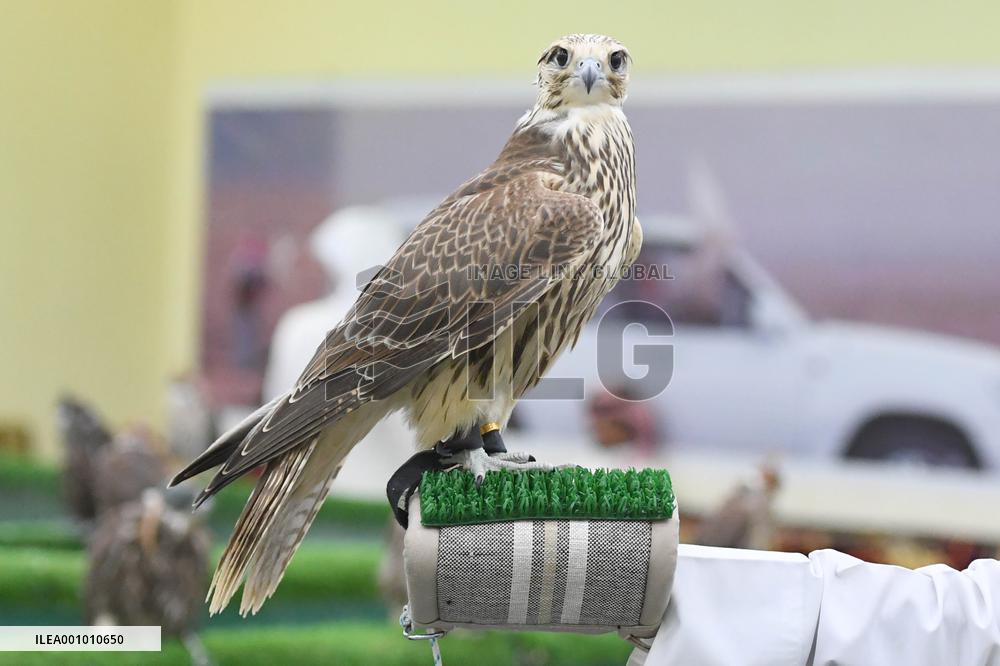 KUWAIT-FARWANIYA GOVERNORATE-FALCON MARKET