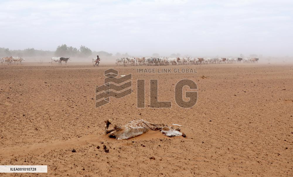 KENYA-DROUGHT-UNICEF-WATER