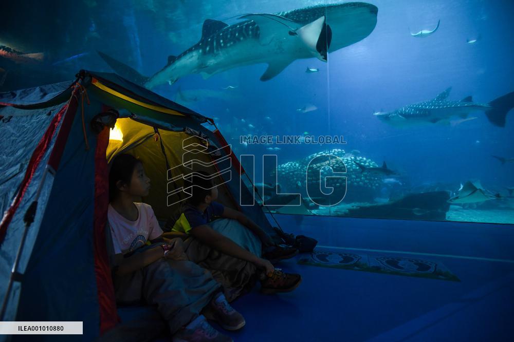 CHINA-ZHUHAI-OCEAN PARK-NIGHT CAMPING (CN)