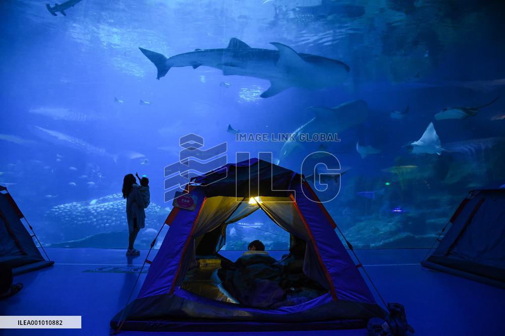 CHINA-ZHUHAI-OCEAN PARK-NIGHT CAMPING (CN)