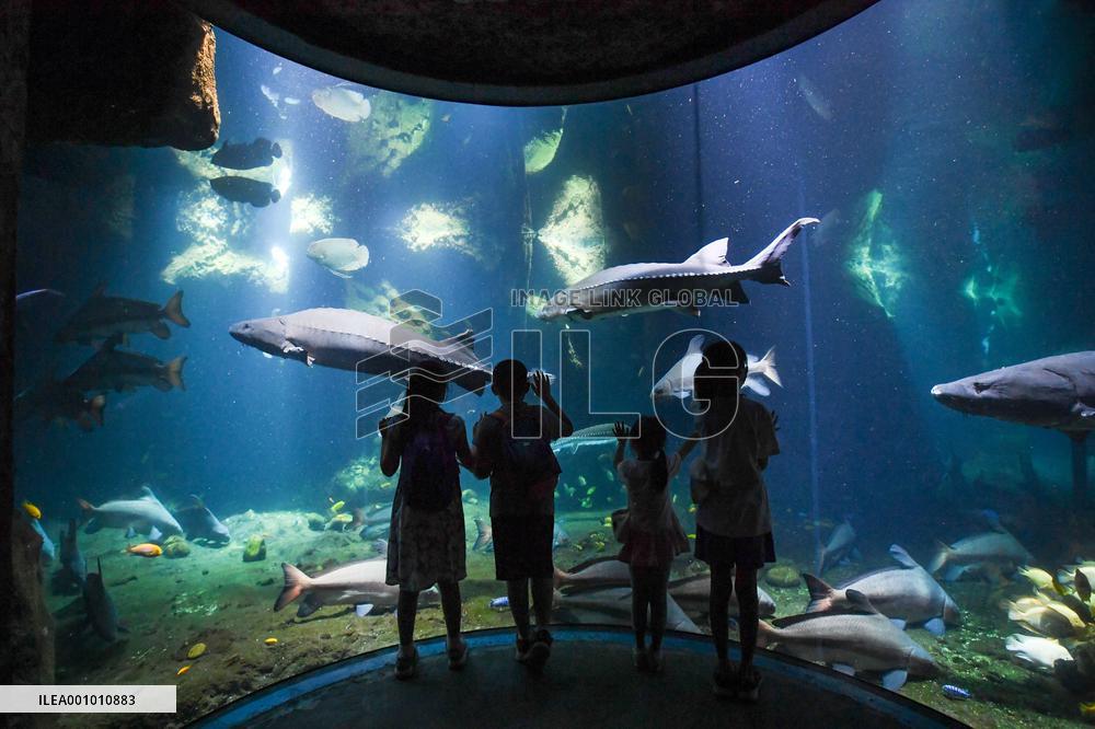 CHINA-ZHUHAI-OCEAN PARK-NIGHT CAMPING (CN)