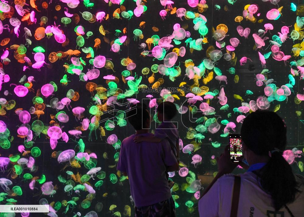 CHINA-ZHUHAI-OCEAN PARK-NIGHT CAMPING (CN)