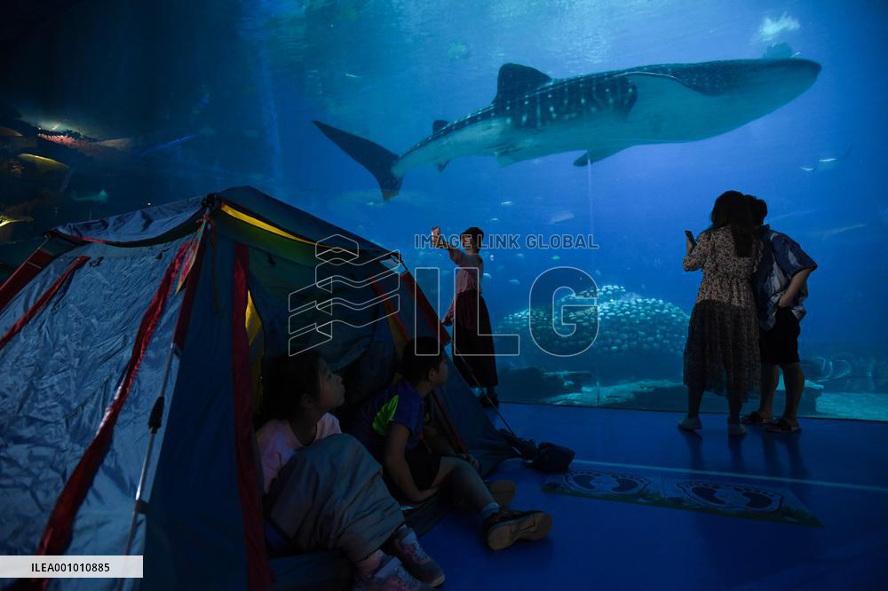 CHINA-ZHUHAI-OCEAN PARK-NIGHT CAMPING (CN)
