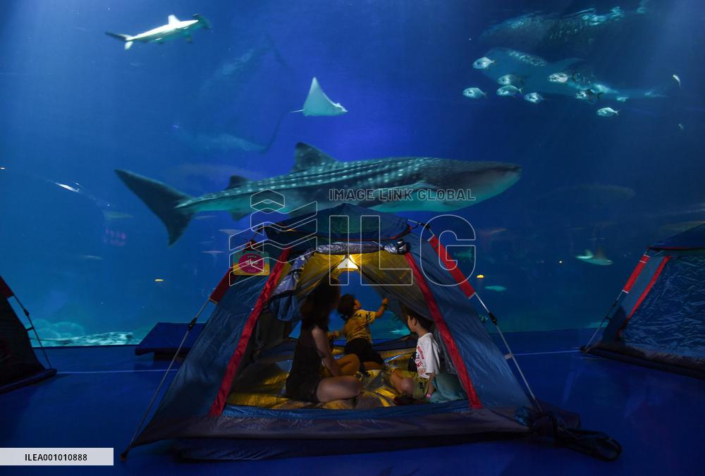 CHINA-ZHUHAI-OCEAN PARK-NIGHT CAMPING (CN)