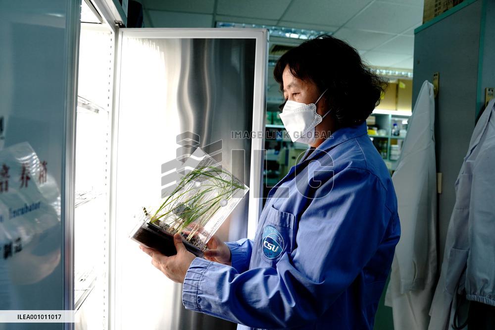 CHINA-SHANGHAI-PLANT-SPACE LAB (CN)