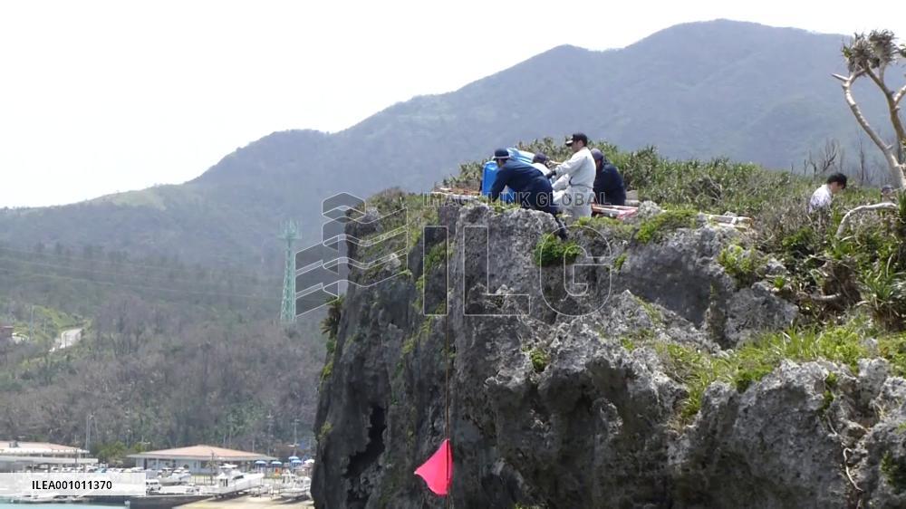 On-site inspection of Cape Manzamo in Okinawa Suspicion of murder Forced jumping off