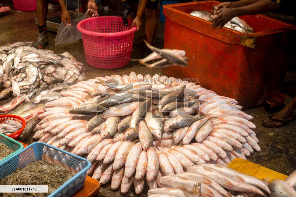 MYANMAR-YANGON-FISH MARKET