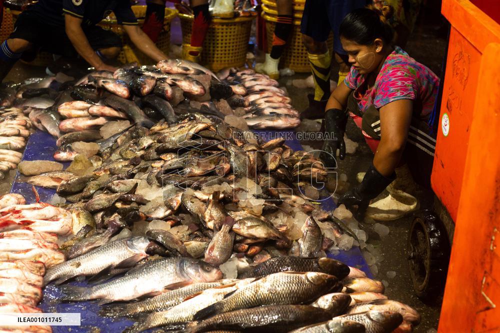 MYANMAR-YANGON-FISH MARKET